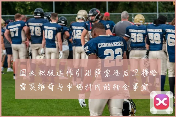 国米积极运作引进萨索洛后卫穆哈雷莫维奇与中场科内的转会事宜